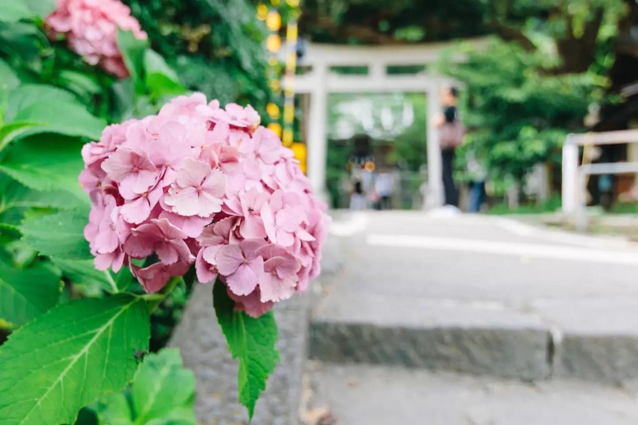 Villa Kamakura Eksteriør billede